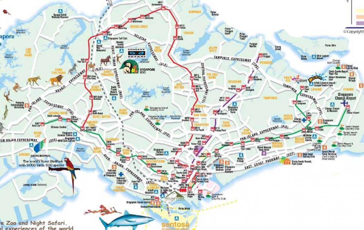 vej kort over Singapore